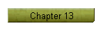 Chapter 13