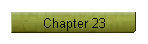 Chapter 23