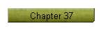 Chapter 37